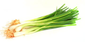 Tenha cebolinha fresca sempre à mão: aprenda a cultivar em casa!