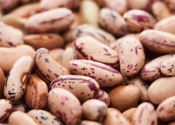 O superalimento que não pode faltar na sua dieta!