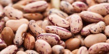 O superalimento que não pode faltar na sua dieta!