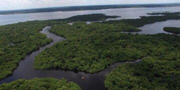 Microsoft investe R$ 3,5 milhões em créditos de carbono no Brasil para reflorestamento