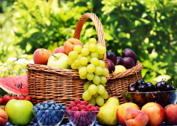 Quais Alimentos Você Deve Comer Todos os Dias? Descubra!