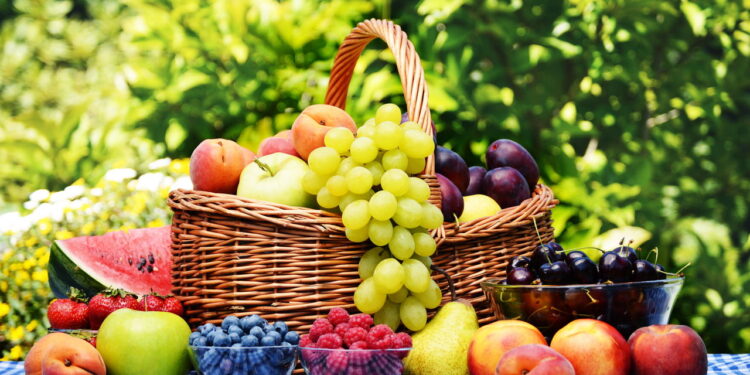 Quais Alimentos Você Deve Comer Todos os Dias? Descubra!