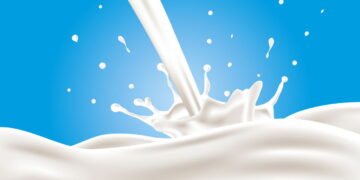 O poder do leite desnatado para uma vida mais saudável