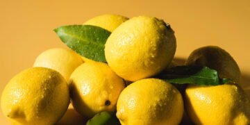 Dicas Essenciais para Cultivar Limão Dentro de Casa