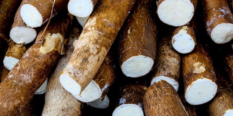 Um Alimento Versátil e Nutritivo para o Seu Dia a Dia