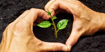 Aproveite o inverno para cultivar seu próprio pomar!