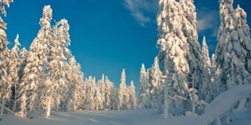 A cidade que enfrenta o frio mais intenso do planeta