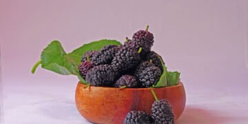 Você conhece a Amora Miura? O segredo natural que está revolucionando a saúde