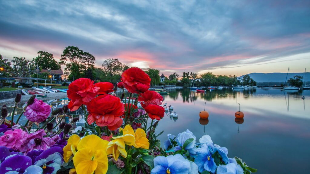 Veja como manter suas flores recebidas bonitas por mais tempo
