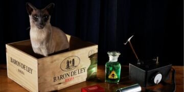 Cientistas Criam Computador Quântico Inspirado no Famoso Gato de Schrödinger