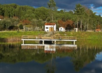 Cidade no interior de São Paulo é considerada uma das melhores do Brasil para se viver