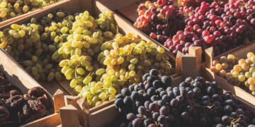 Novo estudo revela um benefício surpreendente das uvas para a saúde