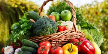 Como cultivar hortaliças em casa e ter alimentos frescos na sua mesa todos os dias