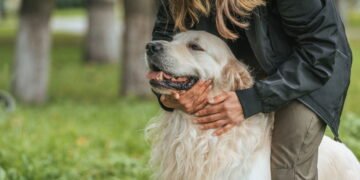 Como proteger seu pet no Carnaval e evitar riscos!