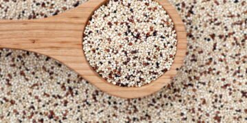 Por que a quinoa é considerada um superalimento? Entenda seus benefícios