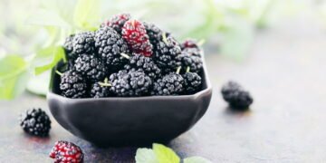 Como plantar amora e produzir frutas deliciosas em casa