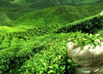 Esse destino vai te surpreender do início ao fim com sua beleza e cultura