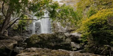 Conheça o caminho de 195Km dentro de Minas Gerais que é um grande chamado divino
