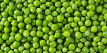 Por que a ervilha é considerada um superalimento essencial?