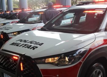 Amor bandido! O golpe que seduzia e extorquia vítimas desarticulado