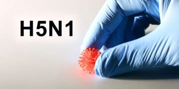 3 curiosidades sobre o H5N1! Cresce o risco de pandemia, mas temos boas notícias
