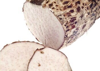 Inhame, o superalimento que fortalece o sistema imunológico e melhora a digestão