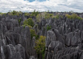 O destino que abriga animais únicos com paisagens surreais e uma cultura vibrante