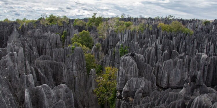 O destino que abriga animais únicos com paisagens surreais e uma cultura vibrante