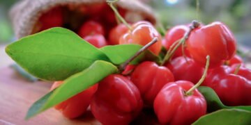 Fruta poderosa combate infecções, reduz gordura e protege a pele