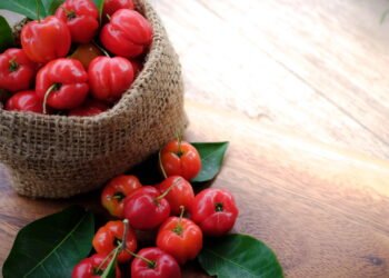 Acerola no quintal ou no vaso? Aprenda a plantar do jeito certo