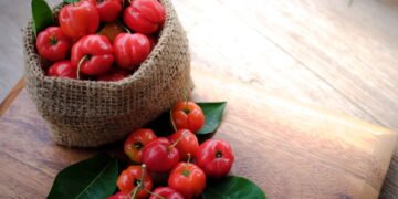Acerola no quintal ou no vaso? Aprenda a plantar do jeito certo