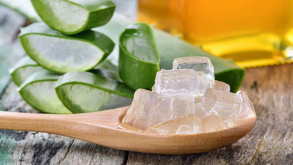 Veja o que acontece quando você usa babosa no cabelo