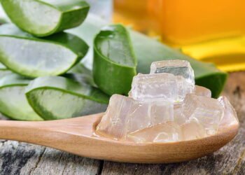 Veja o que acontece quando você usa babosa no cabelo