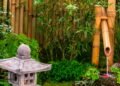 Como o bambu pode transformar seu jardim em um refúgio natural