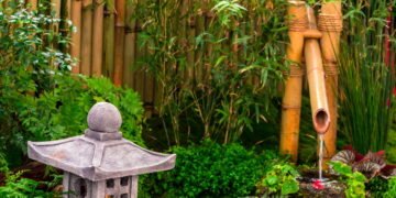 Como o bambu pode transformar seu jardim em um refúgio natural