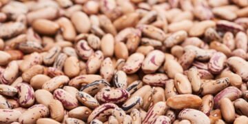 O segredo para cultivar feijão em casa sem esforço