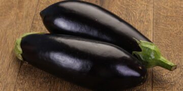 Berinjela em casa rende mais saúde, sabor e economia o ano inteiro