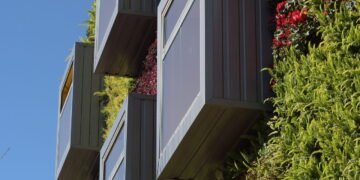 Sem humanos no mundo, o que aconteceria com as florestas e os oceanos?