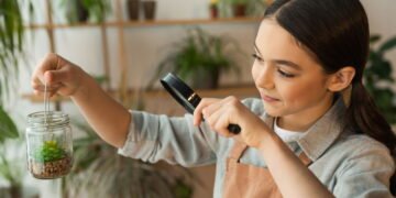 Especialista explica por que as folhas de suas plantas estão secas nas pontas