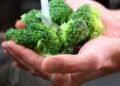 Você sabe preparar um bom brócolis? Você está desperdiçando os benefícios
