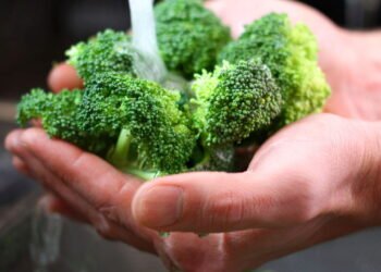 Você sabe preparar um bom brócolis? Você está desperdiçando os benefícios