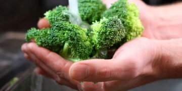 Você sabe preparar um bom brócolis? Você está desperdiçando os benefícios