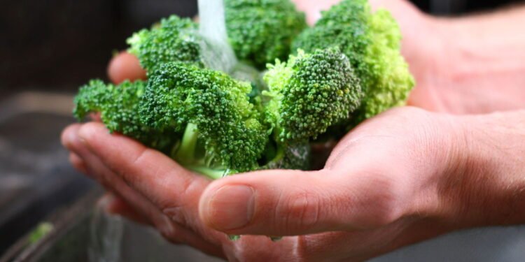 Brócolis e seus benefícios - Créditos: depositphotos.com / Christin_Lola