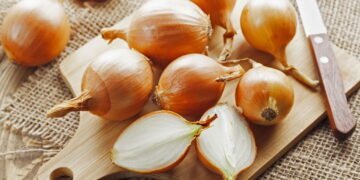 Veja como cultivar cebola em qualquer espaço e economizar na cozinha