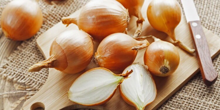 Veja como cultivar cebola em qualquer espaço e economizar na cozinha