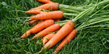 Transforme seu cabelo com os benefícios surpreendentes da cenoura