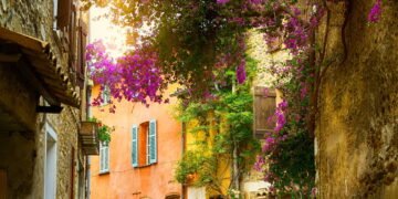 O que as plantas podem fazer pela sua cidade e pelo seu bem-estar