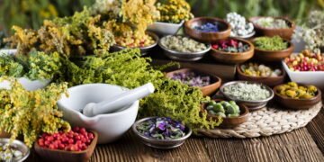 O papel das plantas medicinais no tratamento de doenças do futuro