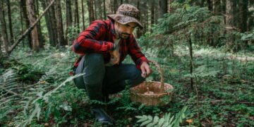 Novo método para ajudar na agricultura e saúde de suas plantas