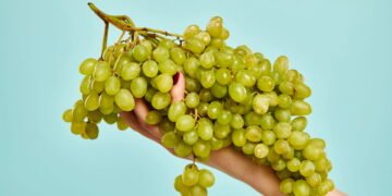 Aprenda como plantar uvas verdes em casa e colher quilos de frutos